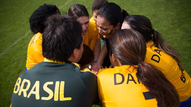 Tout Le Monde Aime Les Pingouins