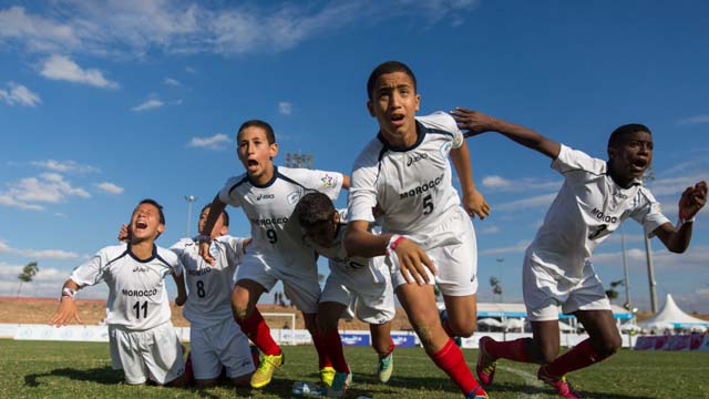 Tout Le Monde Aime Les Pingouins