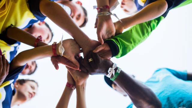 Tout Le Monde Aime Les Pingouins