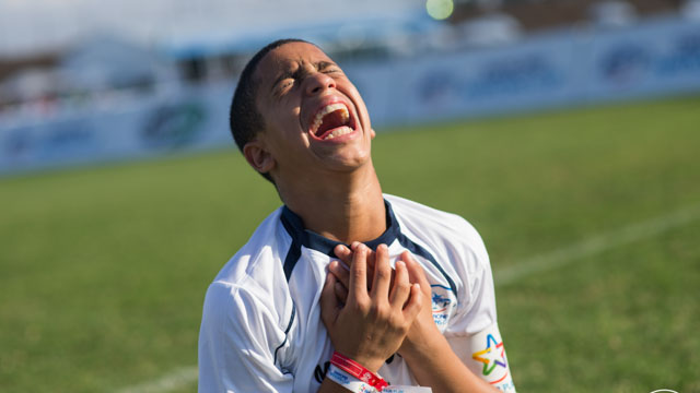 Tout Le Monde Aime Les Pingouins