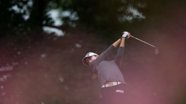 Tout Le Monde Aime Les Pingouins