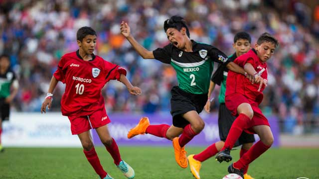 Tout Le Monde Aime Les Pingouins