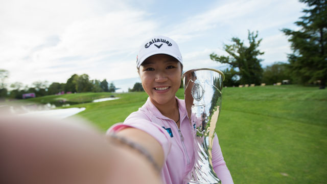 Tout Le Monde Aime Les Pingouins