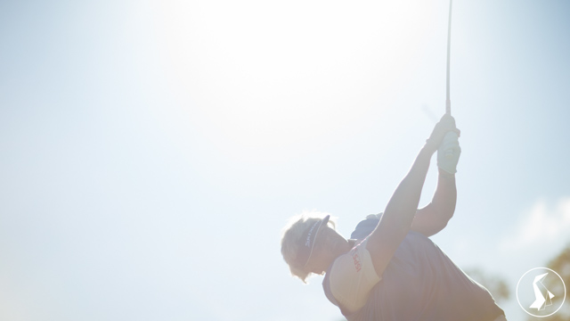 Tout Le Monde Aime Les Pingouins