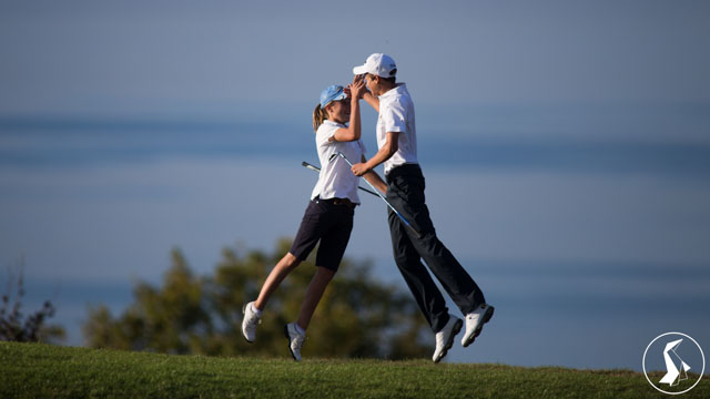 Tout Le Monde Aime Les Pingouins