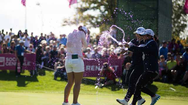 Tout Le Monde Aime Les Pingouins