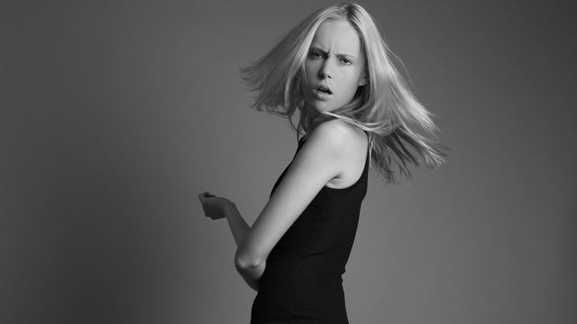 Tout Le Monde Aime Les Pingouins -