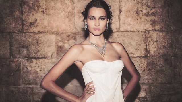 Tout Le Monde Aime Les Pingouins -