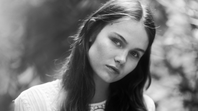 Tout Le Monde Aime Les Pingouins -