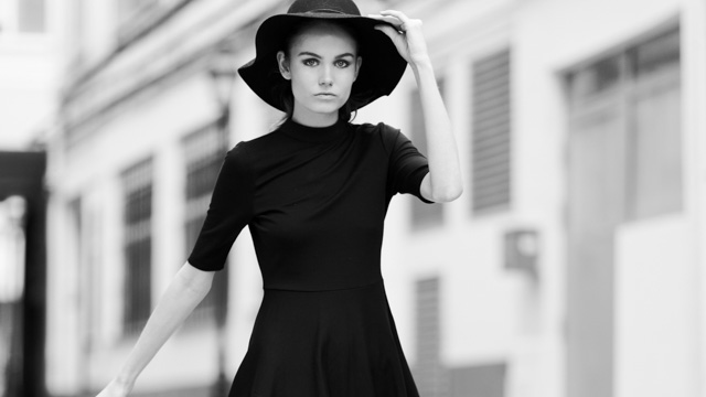 Tout Le Monde Aime Les Pingouins -