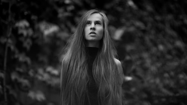 Tout Le Monde Aime Les Pingouins -