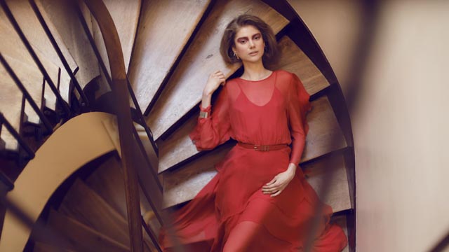 Tout Le Monde Aime Les Pingouins -