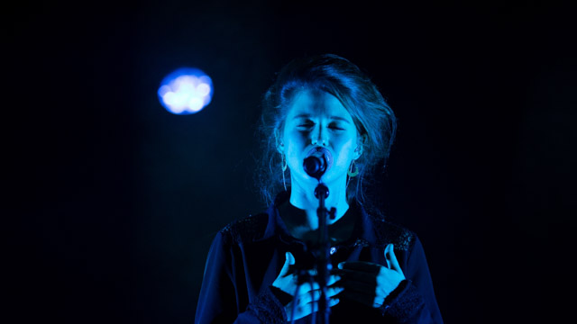 Tout Le Monde Aime Les Pingouins