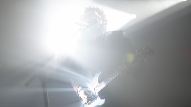 Tout Le Monde Aime Les Pingouins