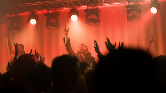 Tout Le Monde Aime Les Pingouins