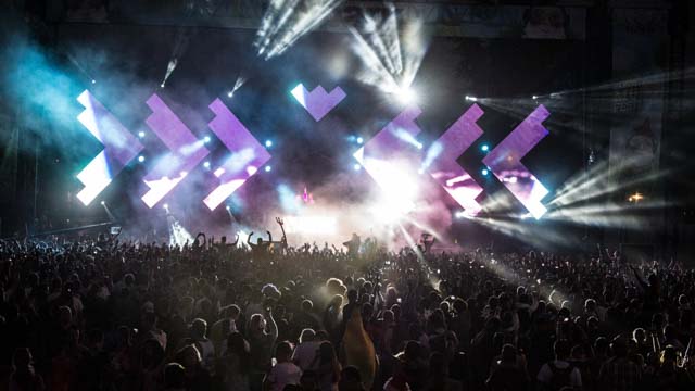 Tout Le Monde Aime Les Pingouins