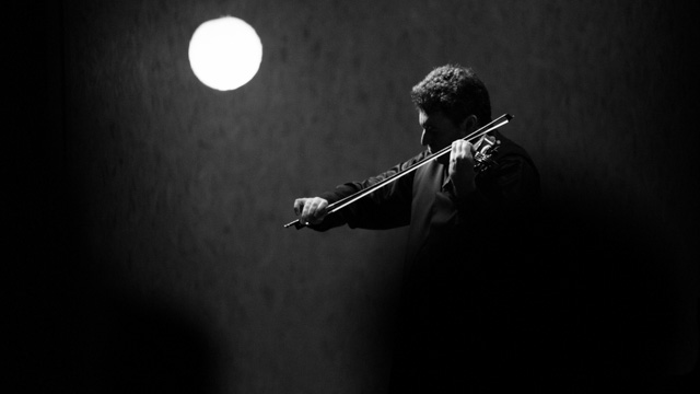 Tout Le Monde Aime Les Pingouins