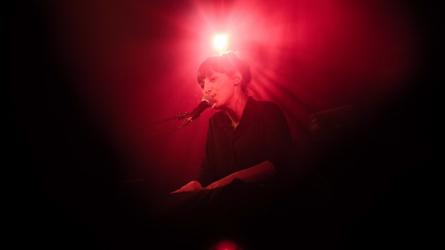 Tout Le Monde Aime Les Pingouins