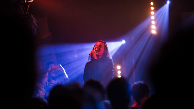 Tout Le Monde Aime Les Pingouins