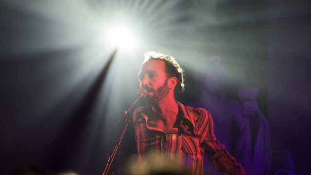 Tout Le Monde Aime Les Pingouins