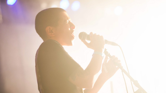 Tout Le Monde Aime Les Pingouins