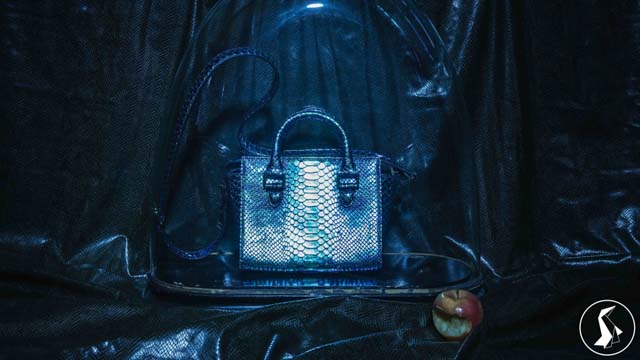 Tout Le Monde Aime Les Pingouins