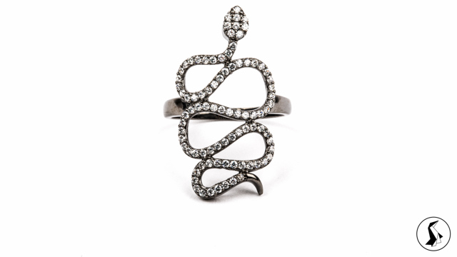 Tout Le Monde Aime Les Pingouins