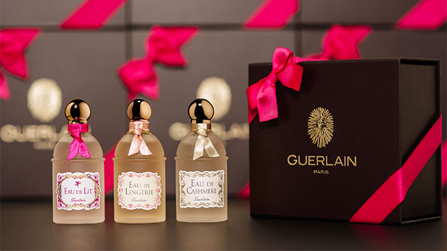 Tout Le Monde Aime Les Pingouins