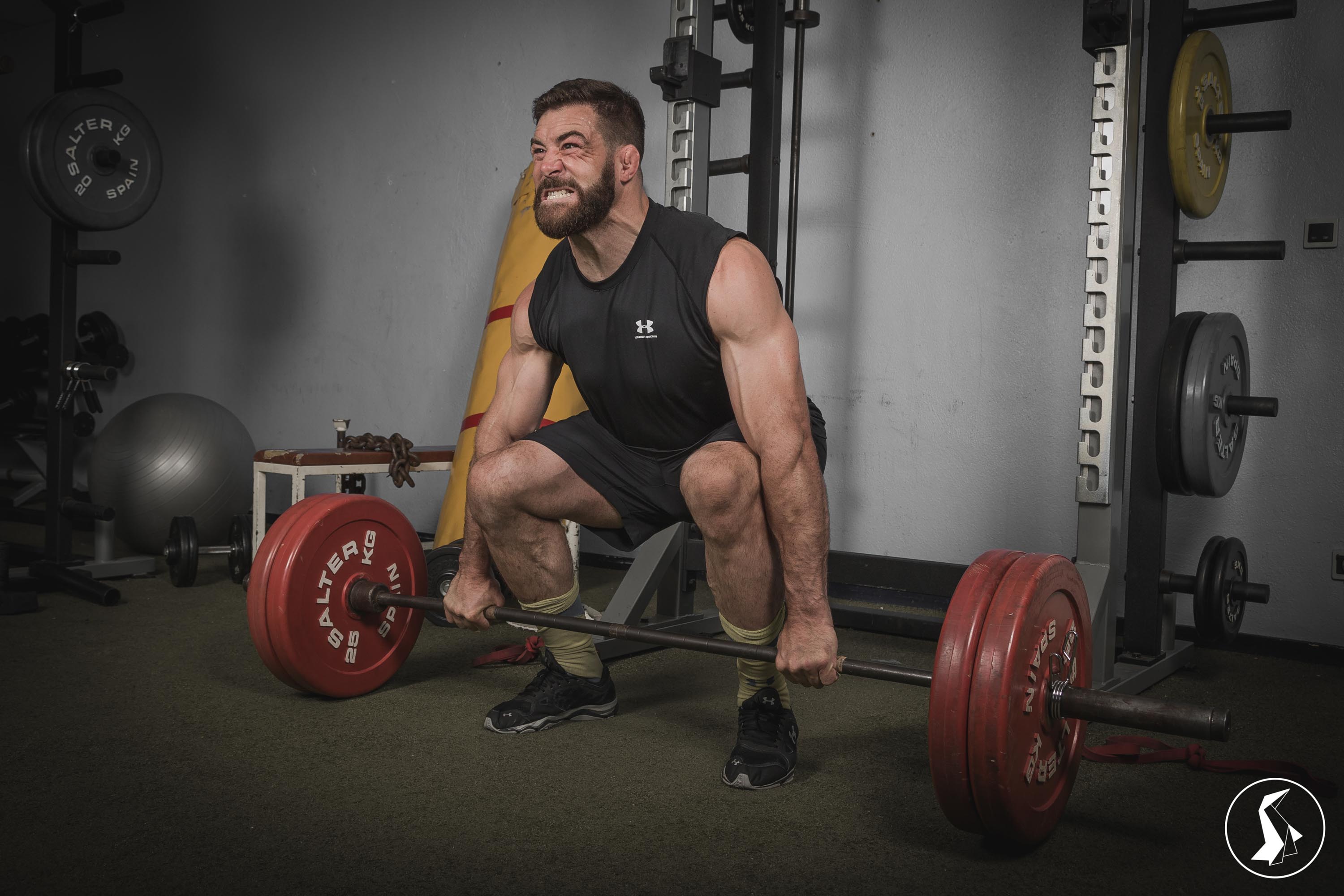 Tout Le Monde Aime Les Pingouins