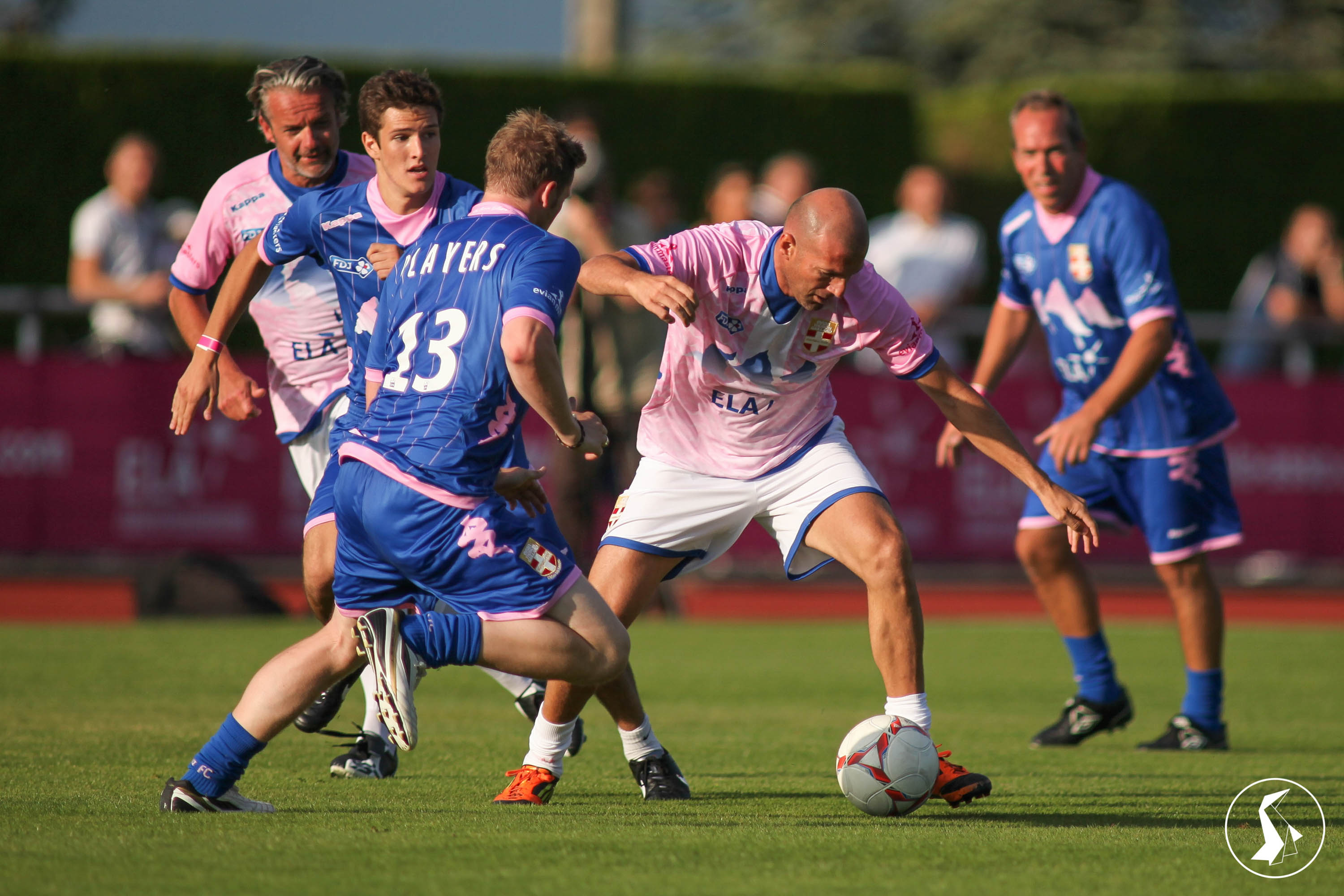 Tout Le Monde Aime Les Pingouins