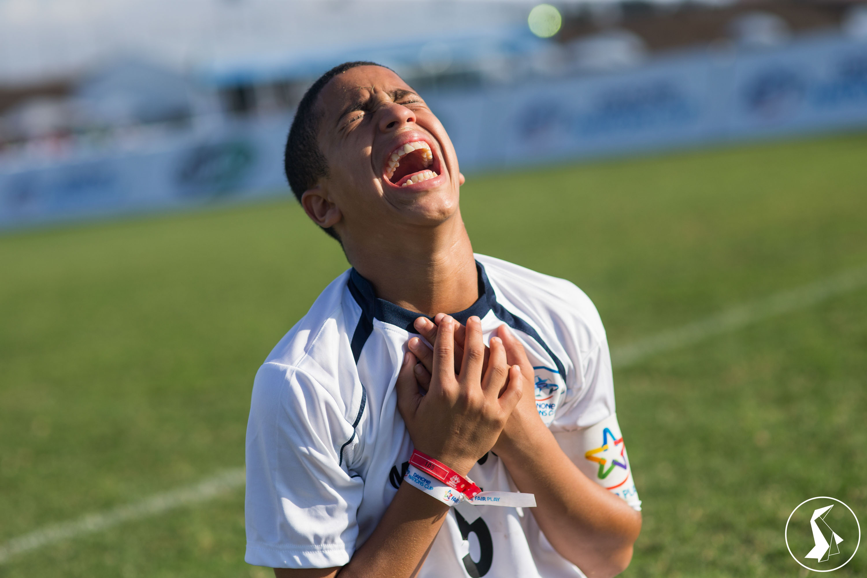 Tout Le Monde Aime Les Pingouins