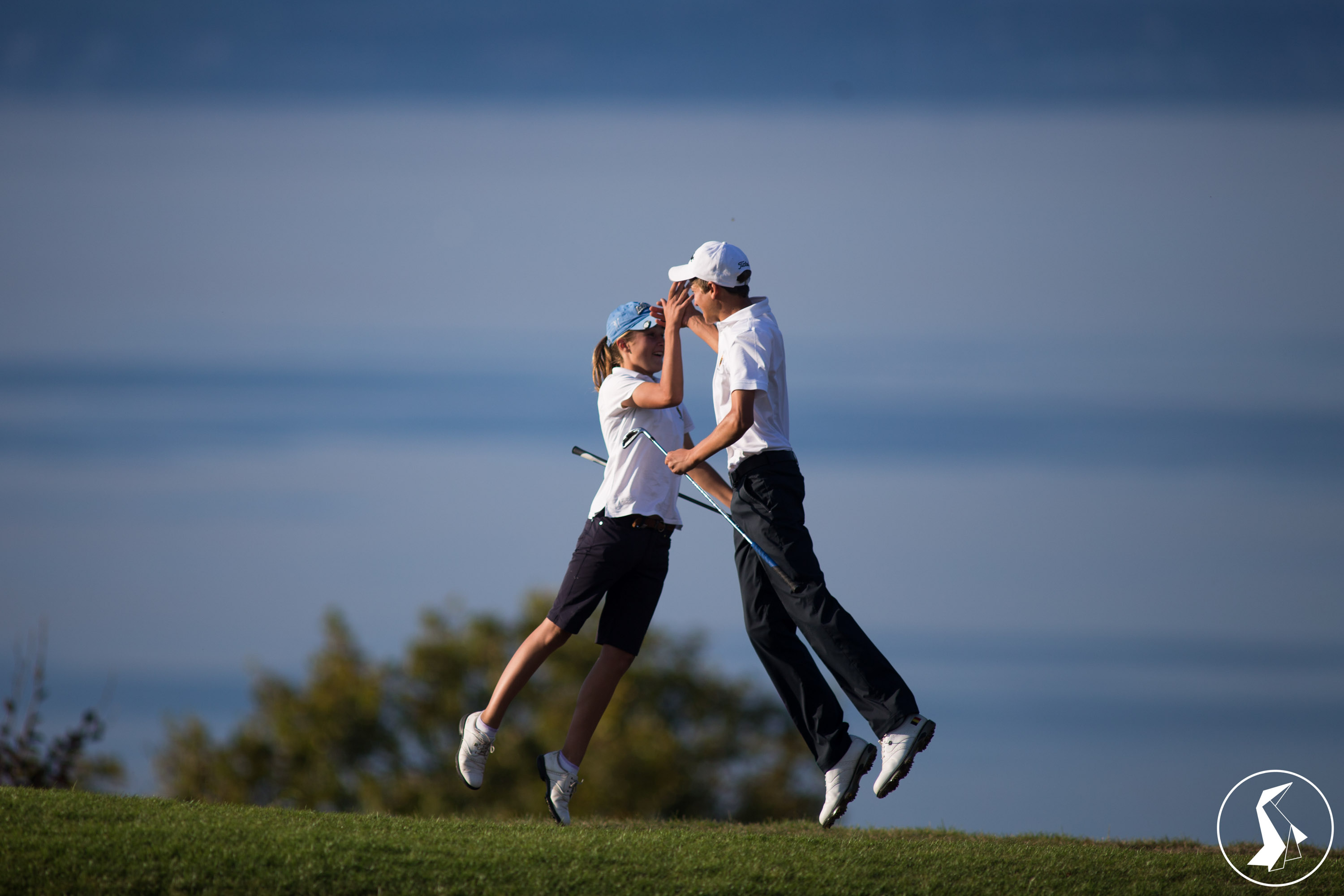 Tout Le Monde Aime Les Pingouins