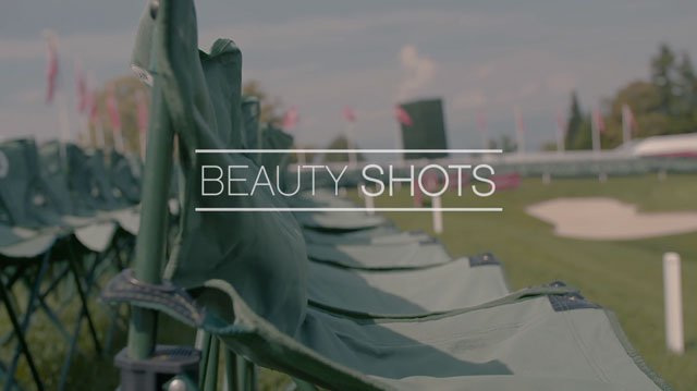 Tout Le Monde Aime Les Pingouins - The Evian Championship