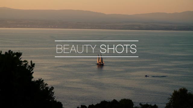 Tout Le Monde Aime Les Pingouins - The Evian Championship