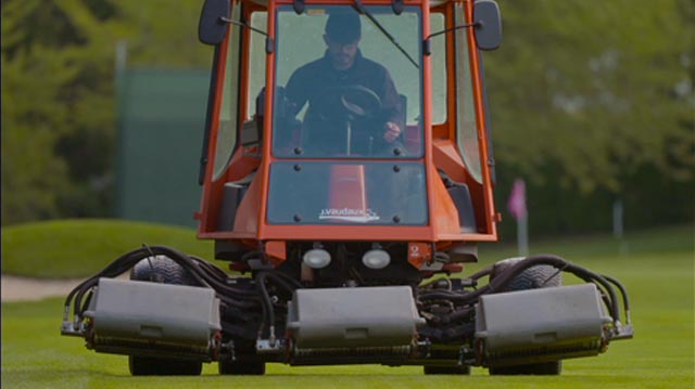 Tout Le Monde Aime Les Pingouins - The Evian Championship