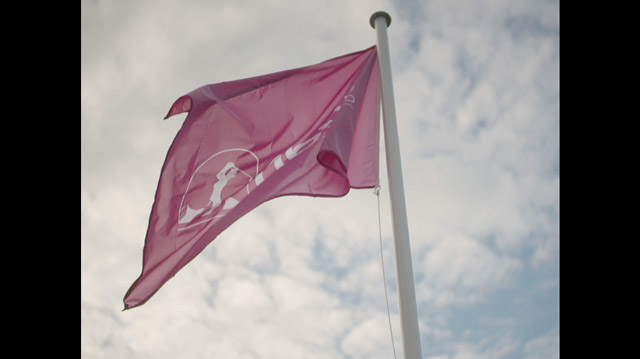 Tout Le Monde Aime Les Pingouins - The Evian Championship