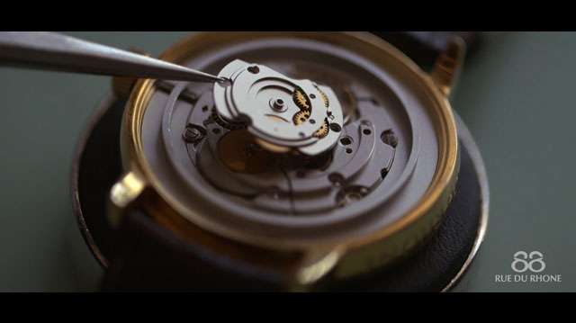 Tout Le Monde Aime Les Pingouins  - 88RDR