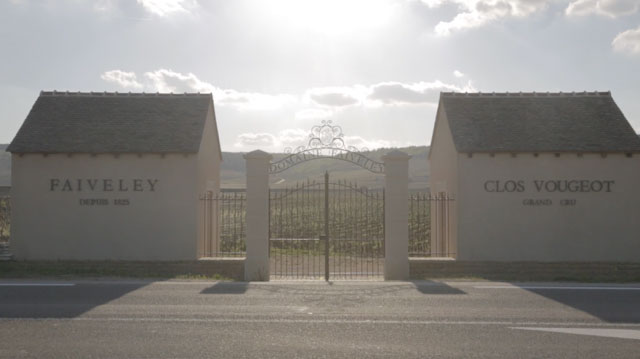 Tout Le Monde Aime Les Pingouins - Domaine Faiveley