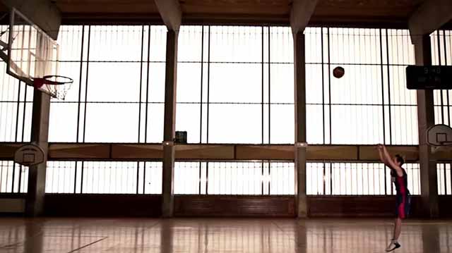 Tout Le Monde Aime Les Pingouins - FFBB