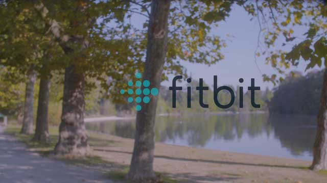 Tout Le Monde Aime Les Pingouins - Fitbit
