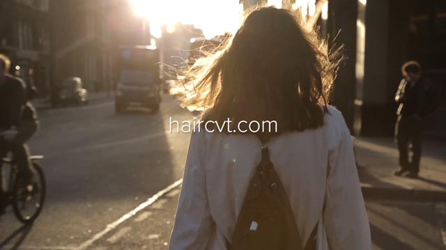 Tout Le Monde Aime Les Pingouins - Haircvt