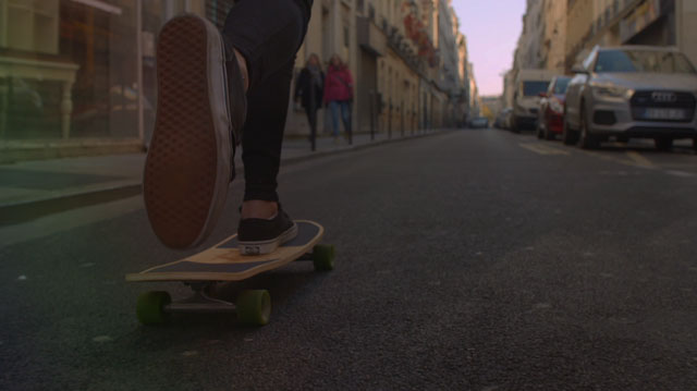 Tout Le Monde Aime Les Pingouins - Le Shape