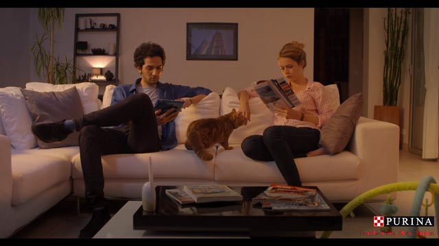 Tout Le Monde Aime Les Pingouins - Purina