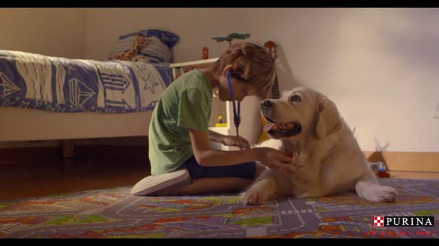 Tout Le Monde Aime Les Pingouins - Purina