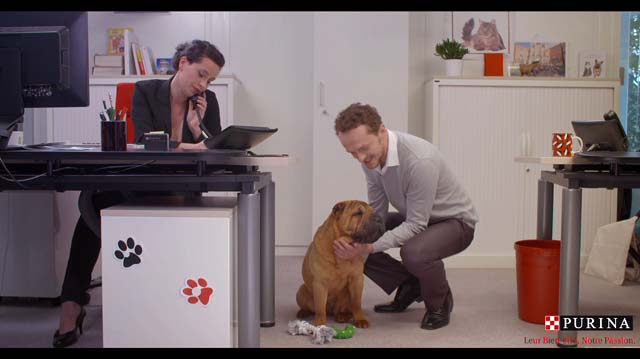 Tout Le Monde Aime Les Pingouins - Purina