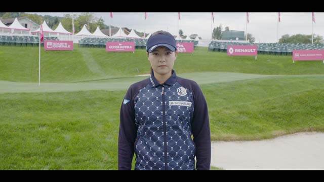 Tout Le Monde Aime Les Pingouins - TEC 2017