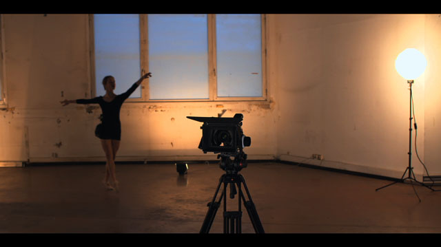 Tout Le Monde Aime Les Pingouins - Voeux 2016